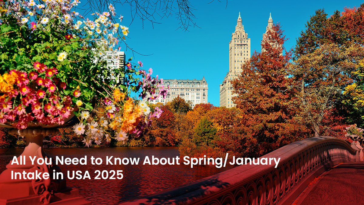 31 Blog All You Need to Know About SpringJanuary Intake in USA 2025