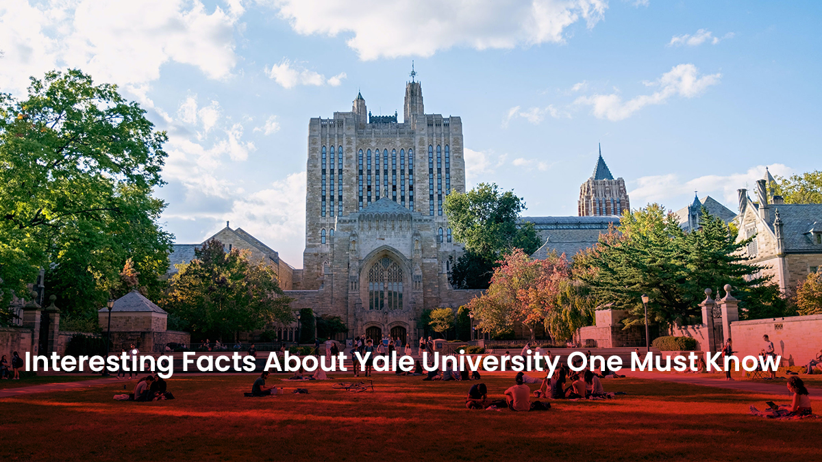 33 Blog Interesting Facts About Yale University One Must Know