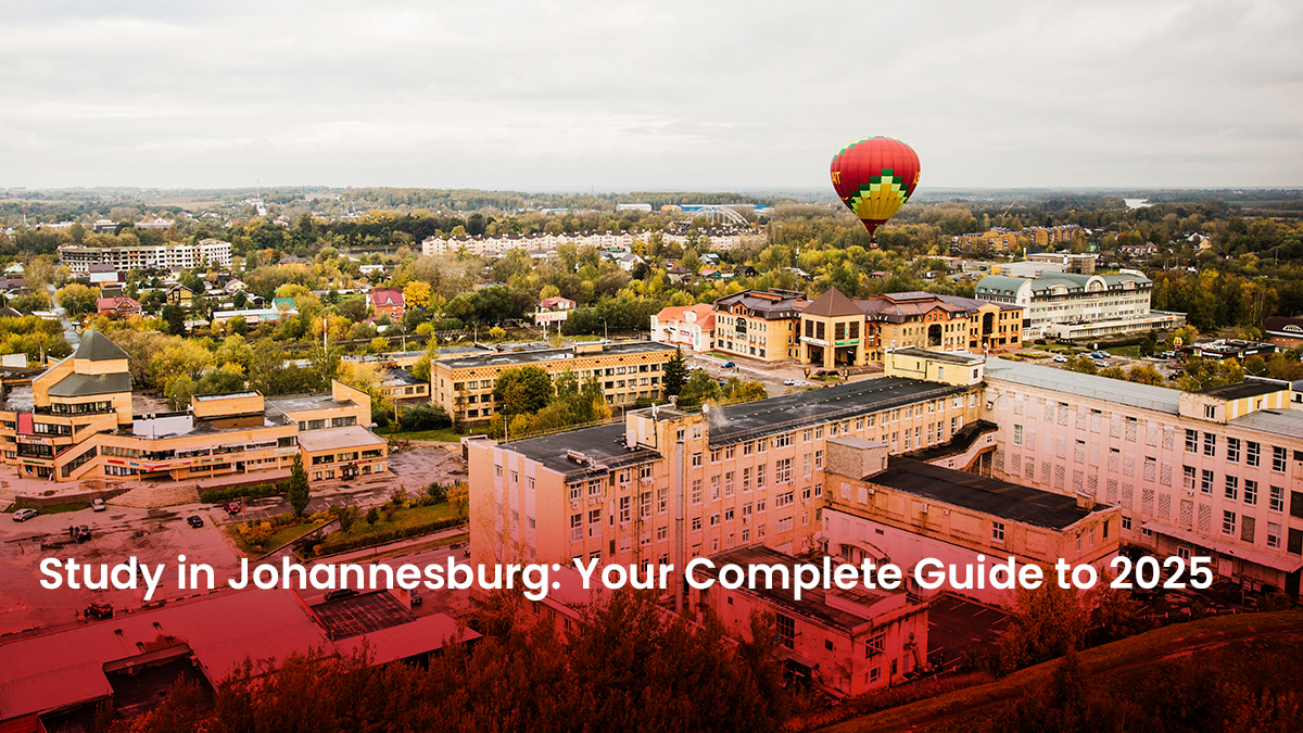 347 Blog study in Johannesburg