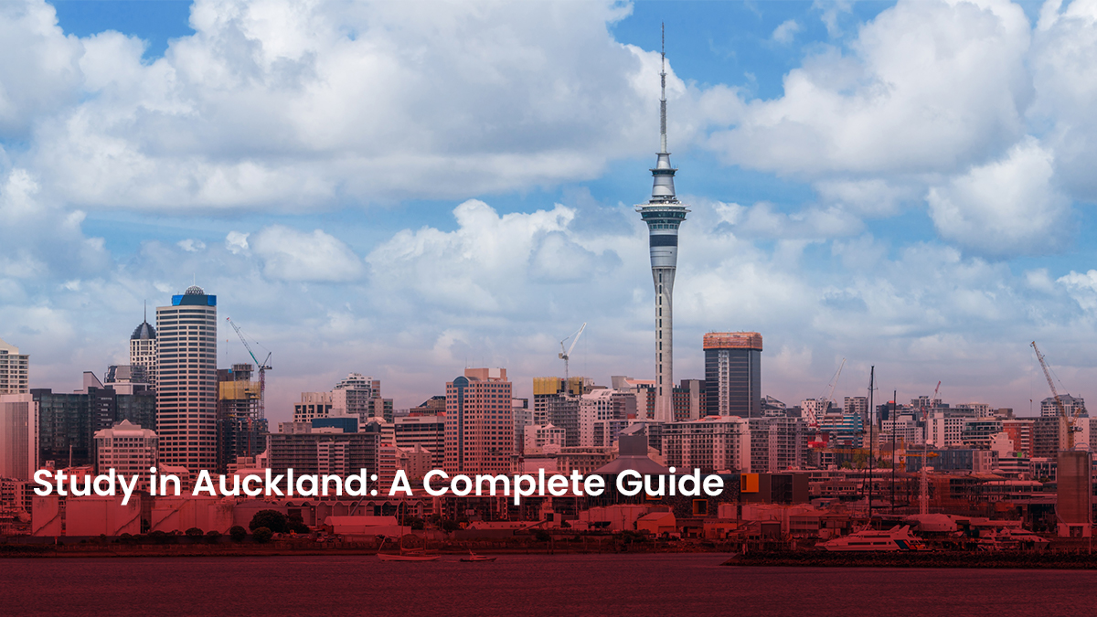 368 Blog study in Auckland