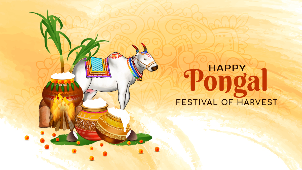 3 Blog Happy Pongal